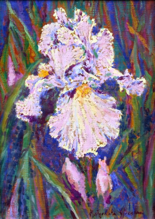 Irys, Olej na płótnie lnianym.