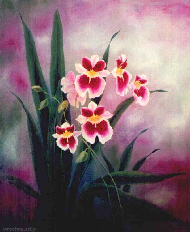 Miltonia, Olej na płótnie lnianym.