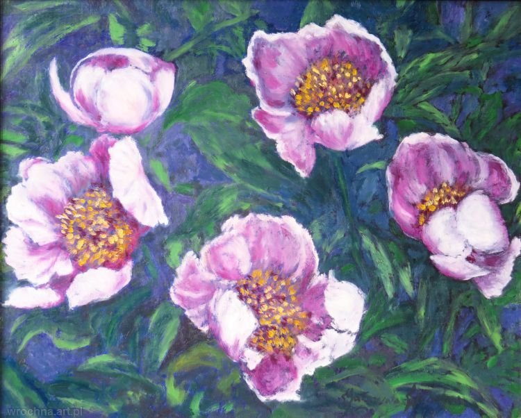 Piwonia botaniczna, Olej na płótnie lnianym, 41 x 33 cm.