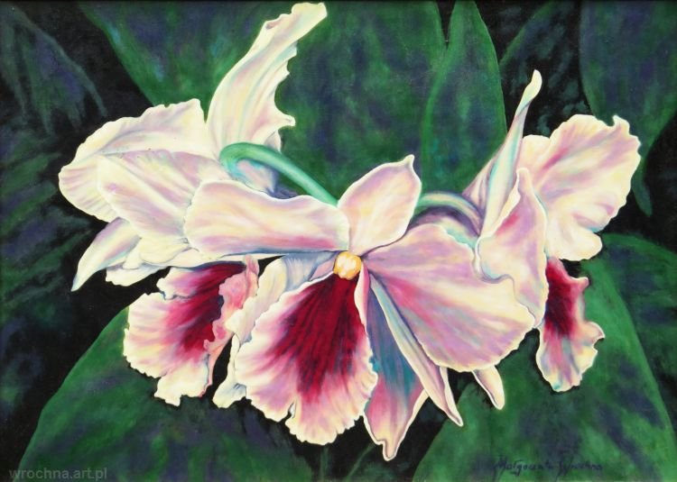 Storczyk, Olej na płótnie lnianym.