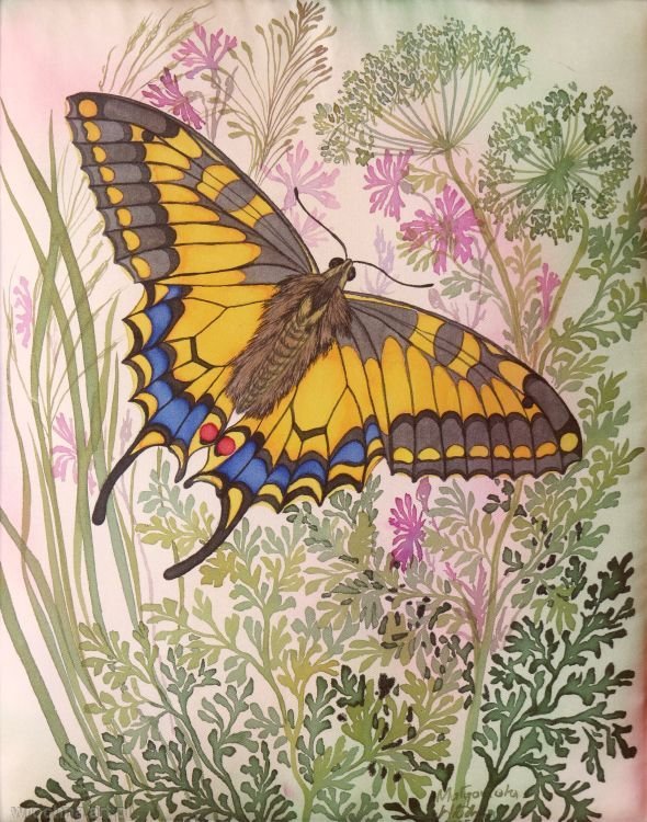 Paź królowej, Jedwab, 18 x 24 cm.